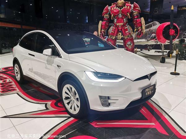  ˹ 2019 MODEL X 