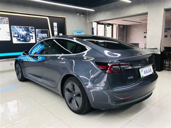 Model 3 2019 ׼