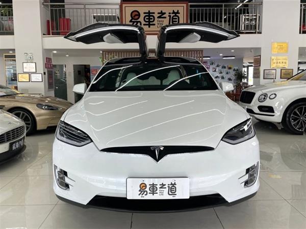 Model X 2017 Model X 100D 