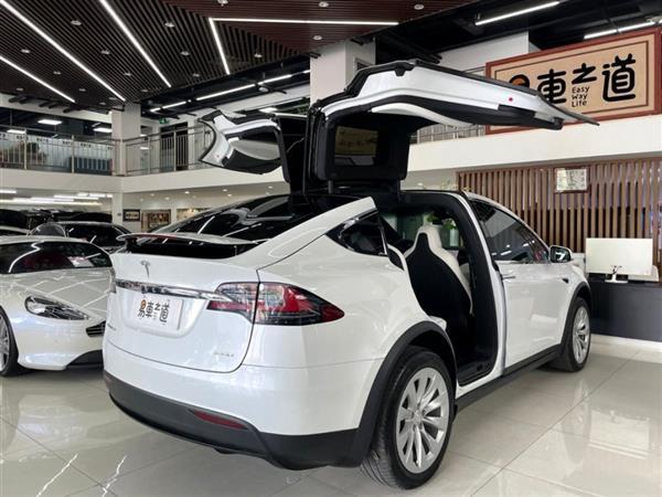 Model X 2017 Model X 100D 