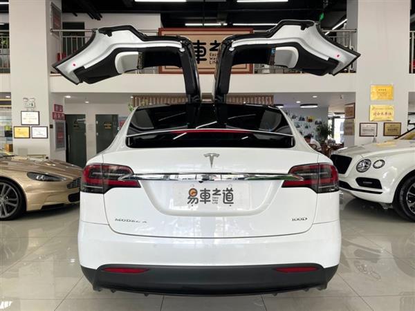 Model X 2017 Model X 100D 