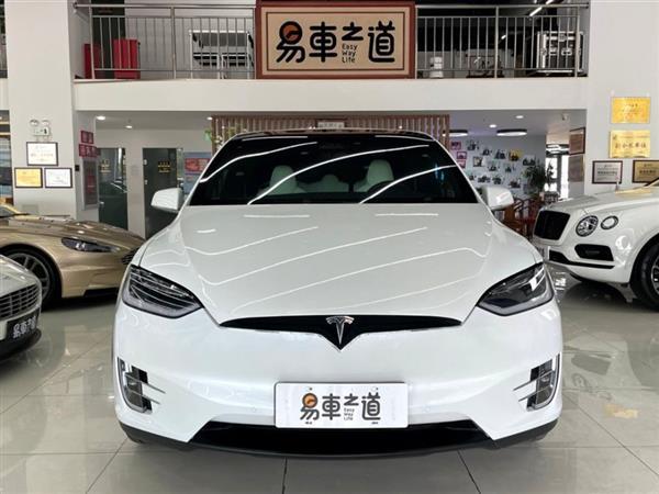 Model X 2017 Model X 100D 