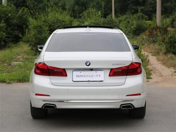 5ϵ 2018 Ŀ 530Li  װ