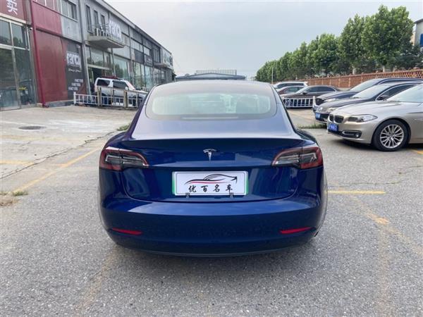 Model 3 2019 ׼