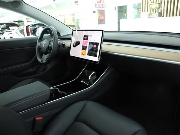 Model 3() 2019 