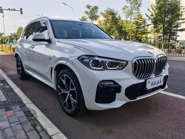 X5 2019 xDrive40i  M˶װ