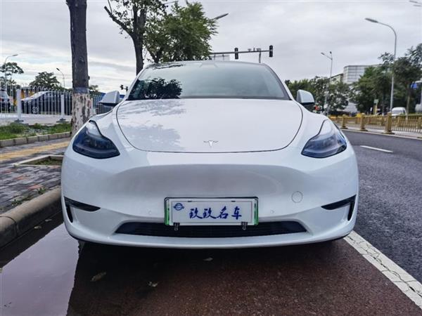 Model Y 2021 ȫ 3D7