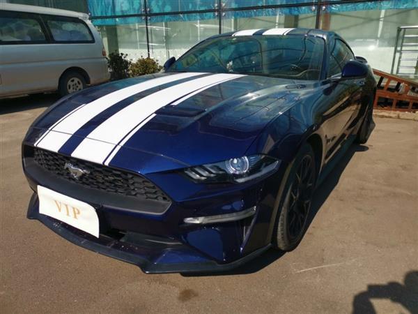 Mustang 2019 2.3L EcoBoost ҹʿ˶