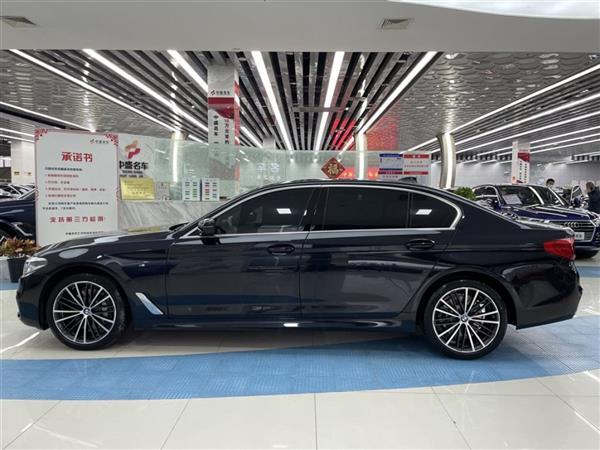 5ϵ 2020 530Li xDrive M˶װ