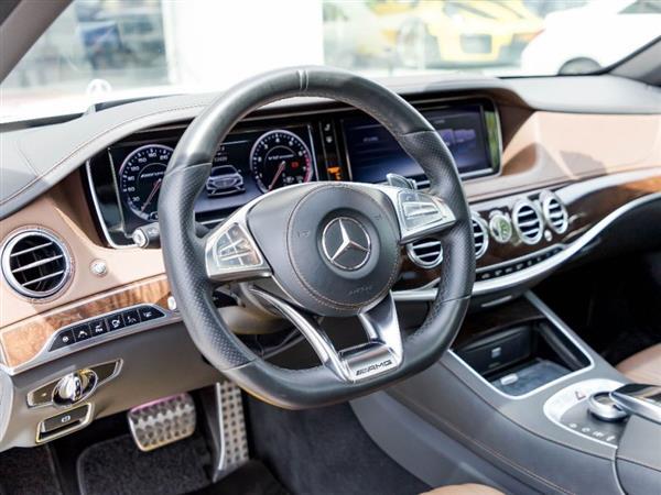 SAMG 2014 AMG S 65 L