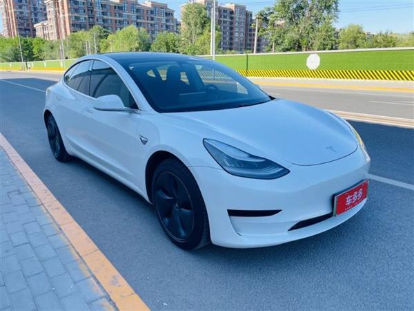 Model 3 2019 ׼