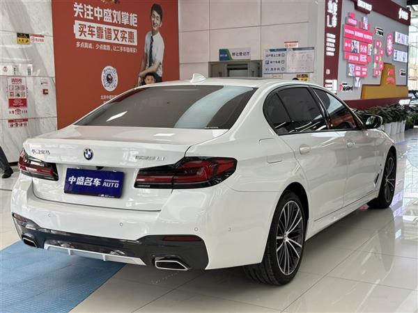 5ϵ 2021 530Li  װ