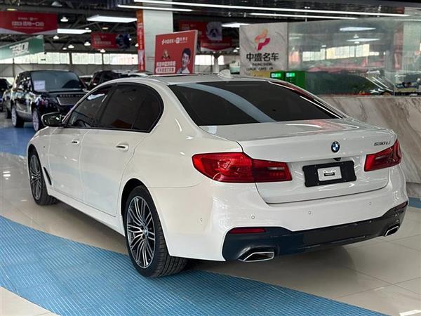 5ϵ 2018 Ŀ 530Li  M˶װ