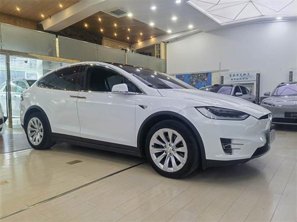 Model X 2017 Model X 100D 