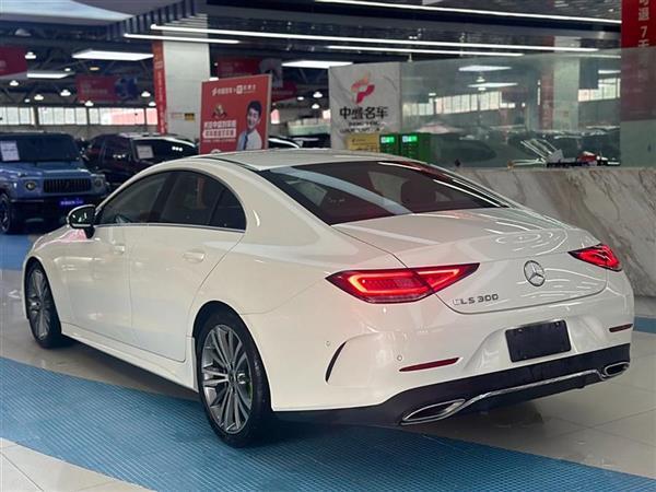 CLS 2021 CLS 300 