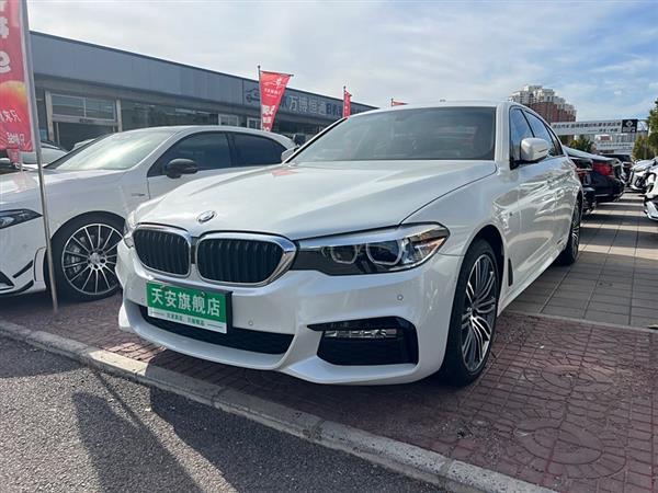 5ϵ 2018 Ŀ 530Li  M˶װ