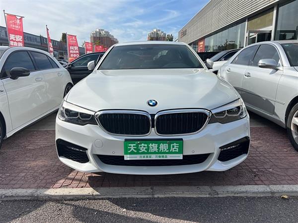 5ϵ 2018 Ŀ 530Li  M˶װ